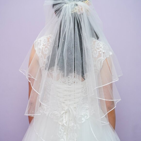 Wedding Dress, with hoop skirt, veil & accessories Size 10, Monica Loretti - Picture 8 of 10